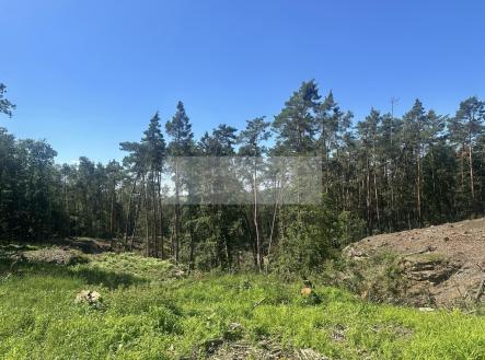 Prodej pozemku, les, 27 933 m²