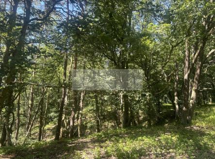 Prodej pozemku, les, 27 933 m²