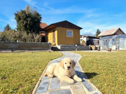 Prodej chaty/rekreačního objektu, 21 m²