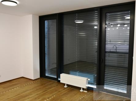 Pronájem bytu, 1+kk, 40 m²