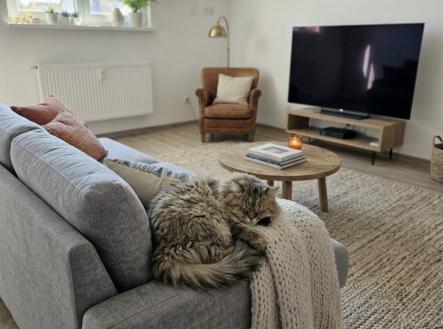 Pronájem bytu, 2+1, 53 m²