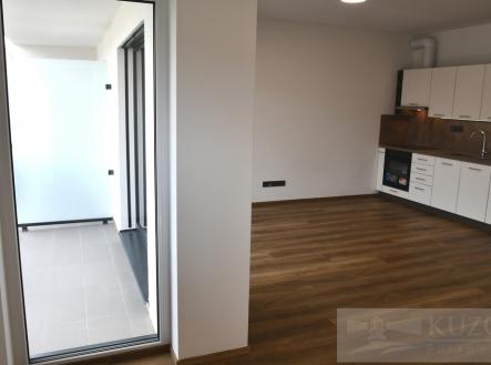 Pronájem bytu, 1+kk, 43 m²