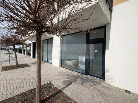 Prodej obchodní prostory, 73 m²