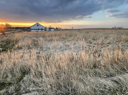 Prodej pozemku pro bydlení, 1 184 m²