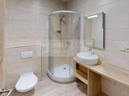 Pronájem bytu, 3+kk, 45 m²