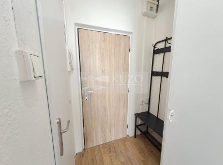Pronájem bytu, 1+kk, 25 m²