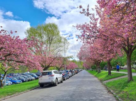 Pronájem bytu, 1+kk, 25 m²