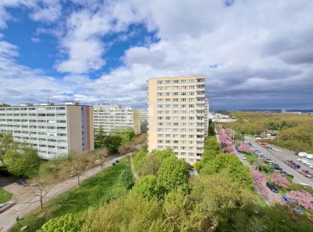 Pronájem bytu, 1+kk, 25 m²