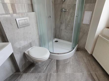 Pronájem bytu, 1+kk, 30 m²
