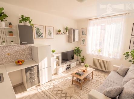 Pronájem bytu, 1+kk, 20 m²