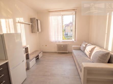 Pronájem bytu, 1+kk, 20 m²