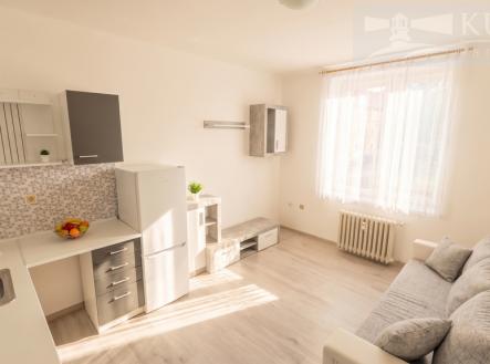 Pronájem bytu, 1+kk, 20 m²