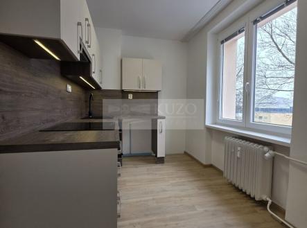 Pronájem bytu, 2+1, 51 m²