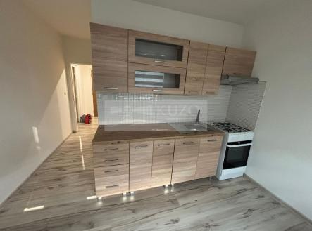 Pronájem bytu, 1+1, 42 m²