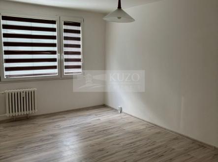 Pronájem bytu, 1+1, 42 m²