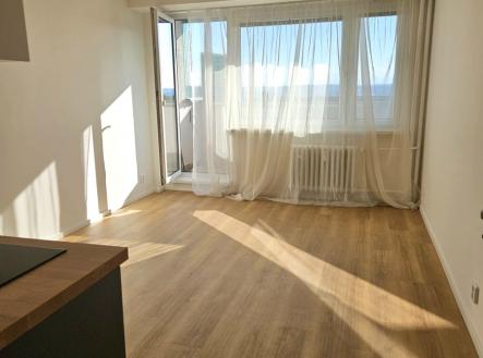 Pronájem bytu, 1+kk, 28 m²