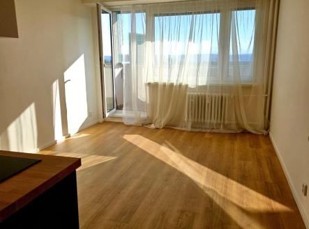 Pronájem bytu, 1+kk, 28 m²