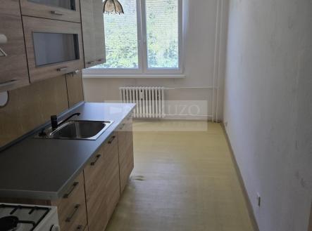 Pronájem bytu, 1+1, 44 m²