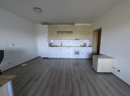 Prodej bytu, 1+kk, 43 m²