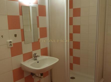 Pronájem bytu, 1+kk, 29 m²