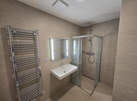 Pronájem bytu, 1+1, 39 m²
