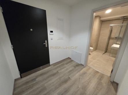 Pronájem bytu, 1+kk, 38 m²