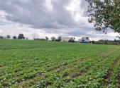 Prodej pozemku, ostatní, 7 191 m²