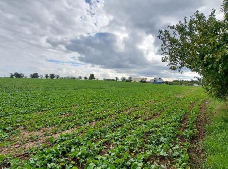 Prodej pozemku, ostatní, 7 191 m²