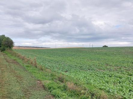 Prodej pozemku pro komerční výstavbu, 25 000 m²