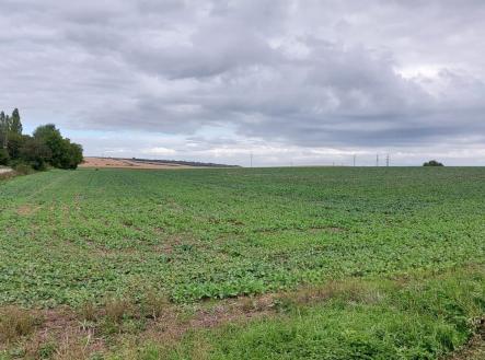 Prodej pozemku pro komerční výstavbu, 25 000 m²