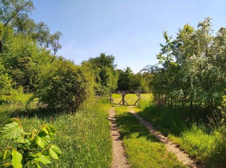 Prodej pozemku pro bydlení, 4 702 m²