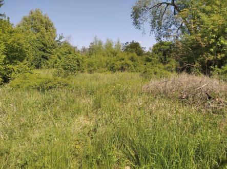 Prodej pozemku pro bydlení, 4 702 m²