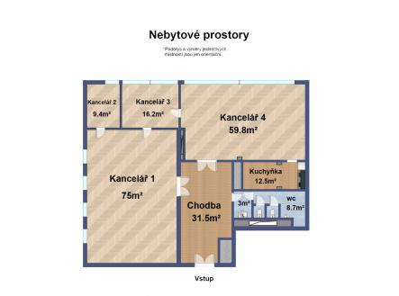 Pronájem kanceláře, 219,6 m²