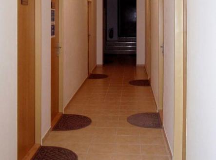 Pronájem kanceláře, 19 m²