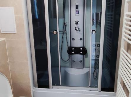 Pronájem bytu, 1+1, 50 m²