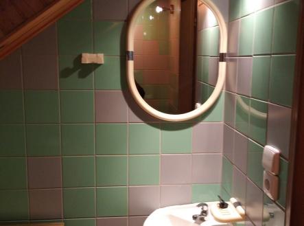 Pronájem domu/vily, 100 m²