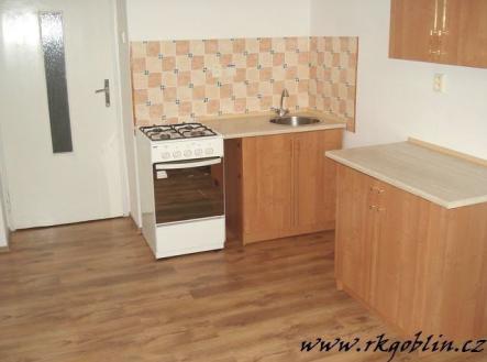 Pronájem bytu, 1+1, 48 m²