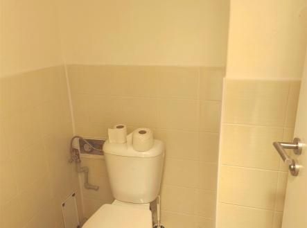 Pronájem obchodní prostor, 43 m²