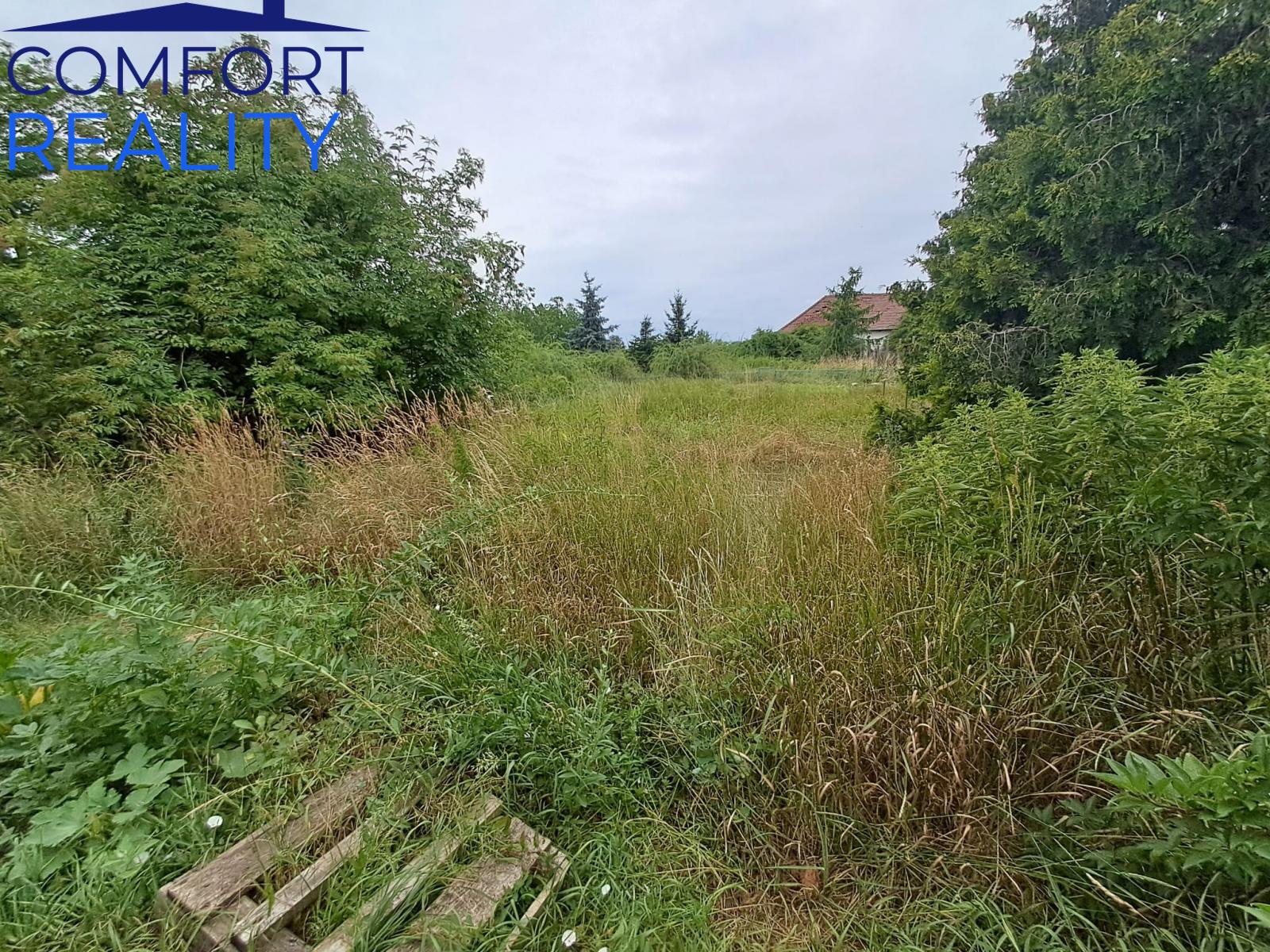 Obrázek WhatsApp, 2025-07-09 v 12.47.05_971ed055.jpg