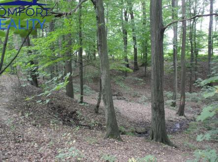 Prodej pozemku, les, 5 996 m²