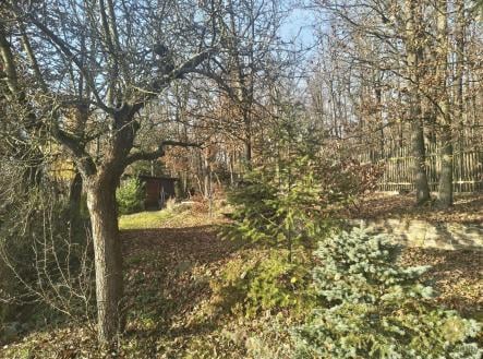 Prodej domu/vily, 95 m²