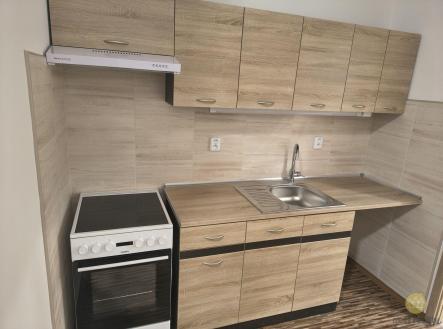 Pronájem bytu, 1+1, 45 m² obrázek