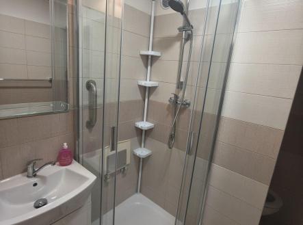 Pronájem bytu, 2+1, 45 m²