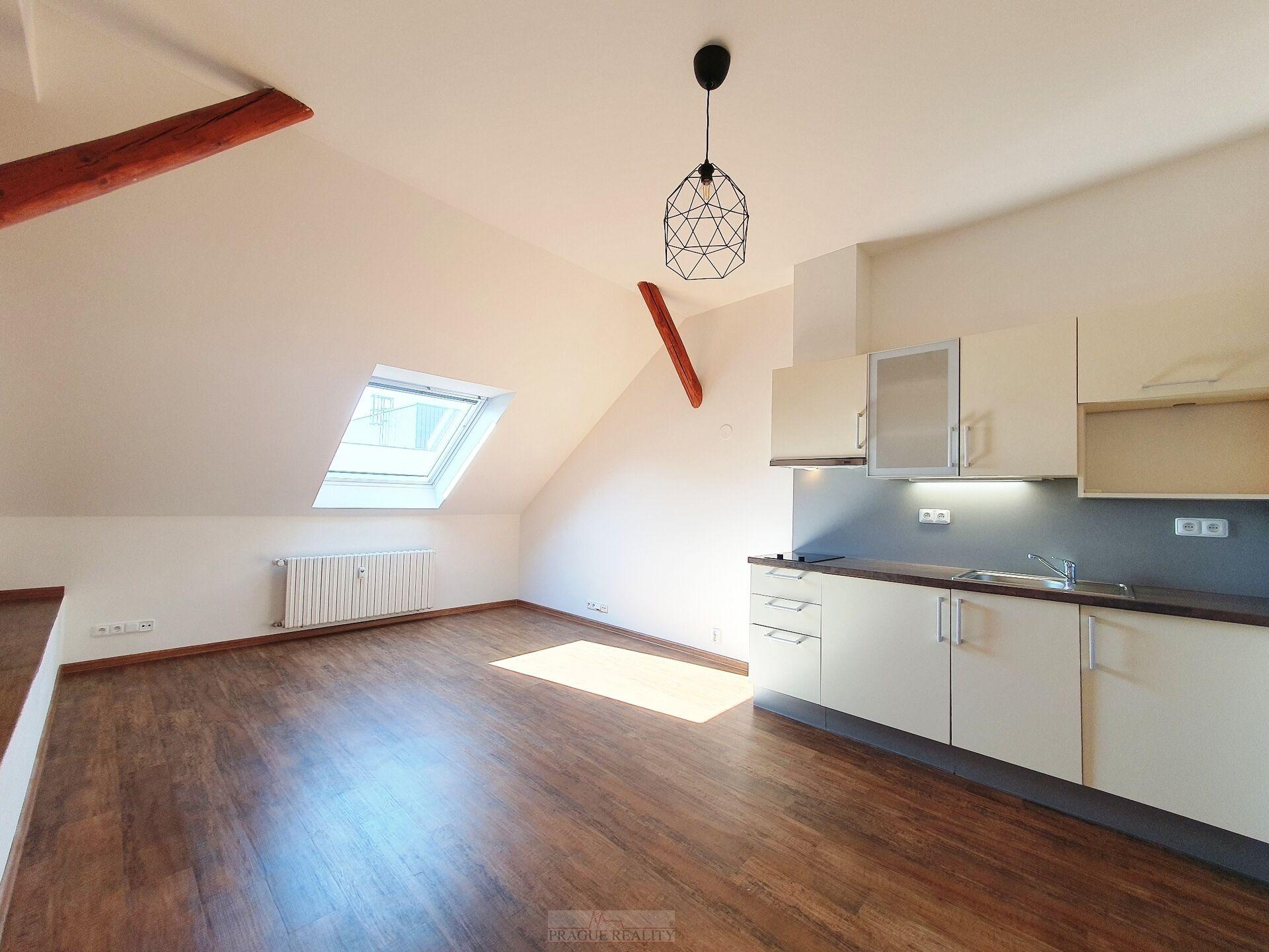 Nadstandardní půdní 1+kk, 27m2, P3 - Žerotínova, pod Parukářkou