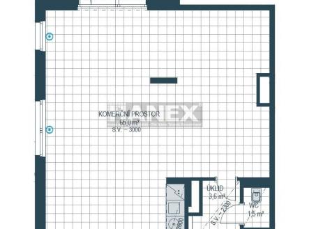 Pronájem obchodní prostor, 73 m²