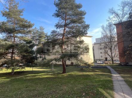 Prodej bytu, 2+kk, 53 m²