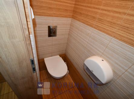 Pronájem obchodní prostor, 340 m²