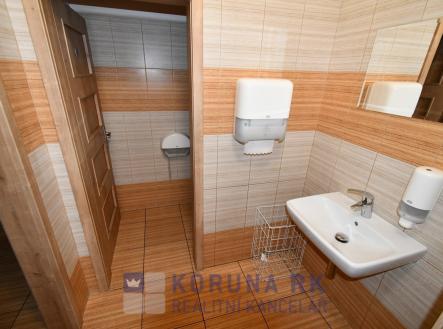 Pronájem obchodní prostor, 340 m²