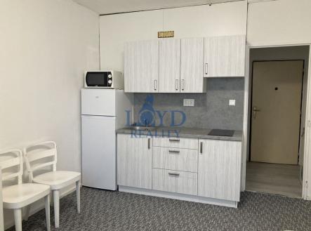 Prodej bytu, 1+kk, 19 m²