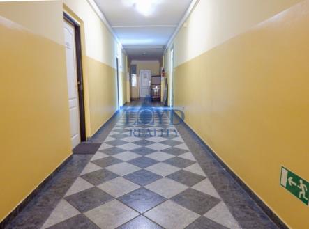 Pronájem kanceláře, 20 m²